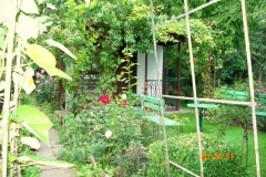 lato 10