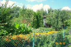 lato 22
