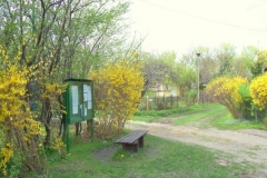 wiosna 1
