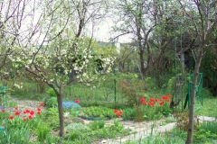 wiosna 17