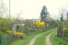 wiosna 2
