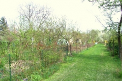 wiosna 20