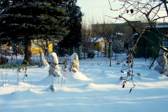 zima 14