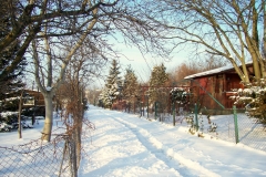 zima 2