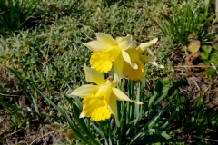 04