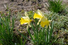 05